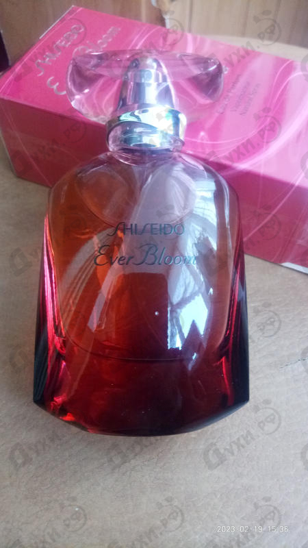 Купить Shiseido Ever Bloom Ginza Flower