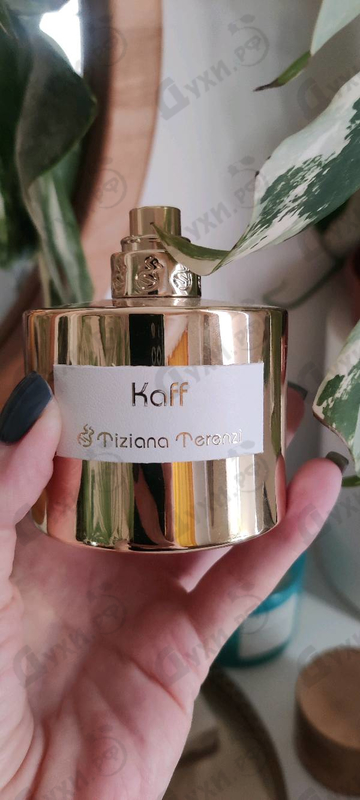 Купить Kaff от Tiziana Terenzi