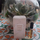 Отзыв Van Cleef & Arpels Bois Dore