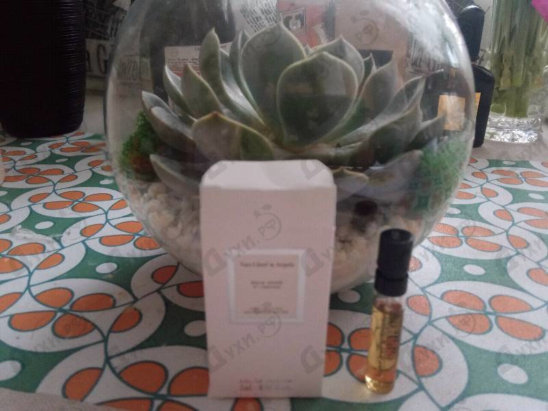 Духи Van Cleef & Arpels Bois Dore Парфюмерия Bois Dore от Van Cleef & Arpels