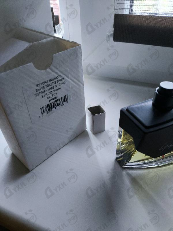 Купить I'm Not Going To Disturb You Homme от Yohji Yamamoto