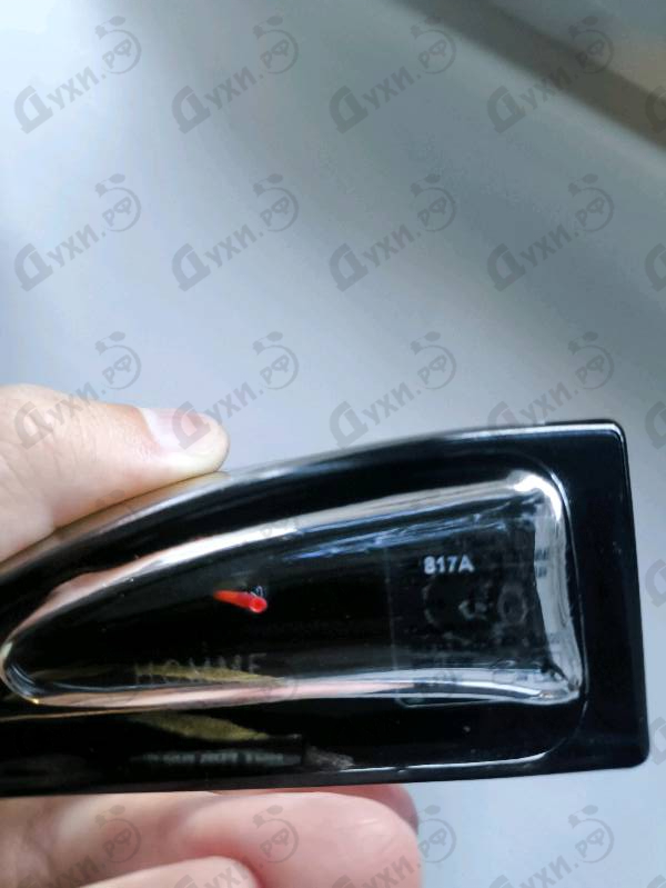 Купить I'm Not Going To Disturb You Homme от Yohji Yamamoto