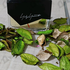 Отзыв Yohji Yamamoto I'm Not Going To Disturb You Homme