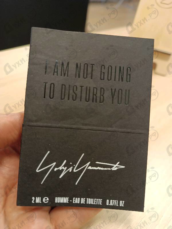 Купить I'm Not Going To Disturb You Homme от Yohji Yamamoto