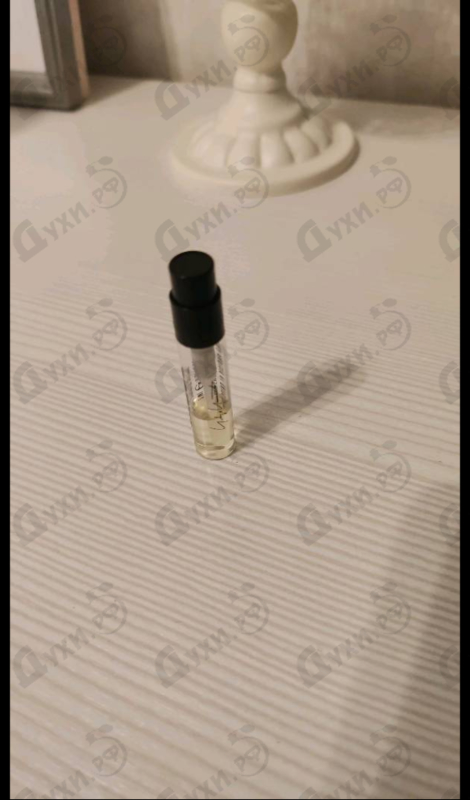 Купить I'm Not Going To Disturb You Homme от Yohji Yamamoto