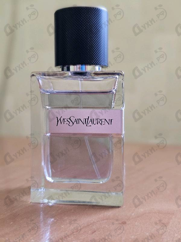 Купить Yves Saint Laurent Y