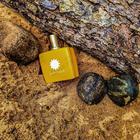 Духи Beach Hut от Amouage