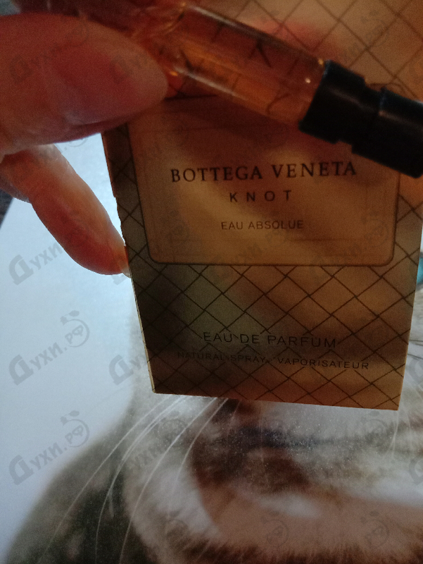 Отзыв Bottega Veneta Knot Eau Absolue Купить Knot Eau Absolue от Bottega Veneta