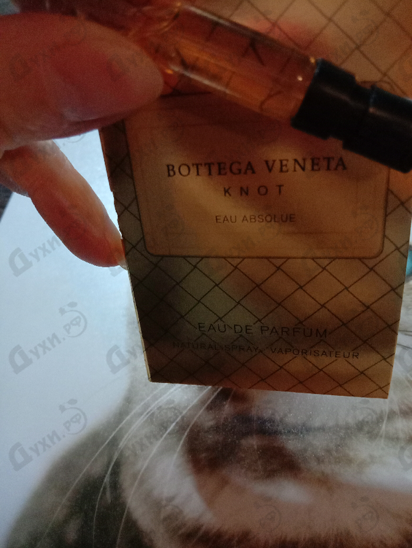 Купить Knot Eau Absolue от Bottega Veneta