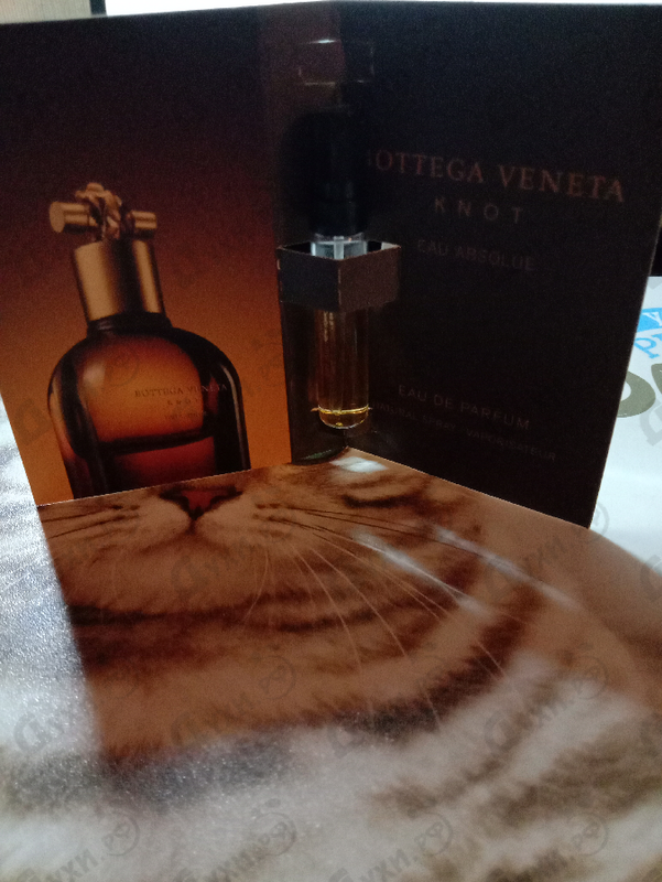 Отзывы Bottega Veneta Knot Eau Absolue