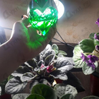 Отзывы Thierry Mugler Aura