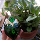 Отзывы Thierry Mugler Aura