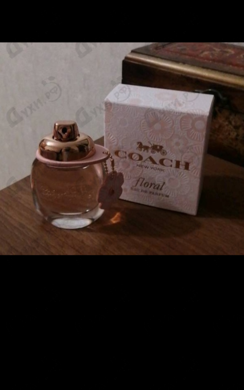 Купить Floral от Coach