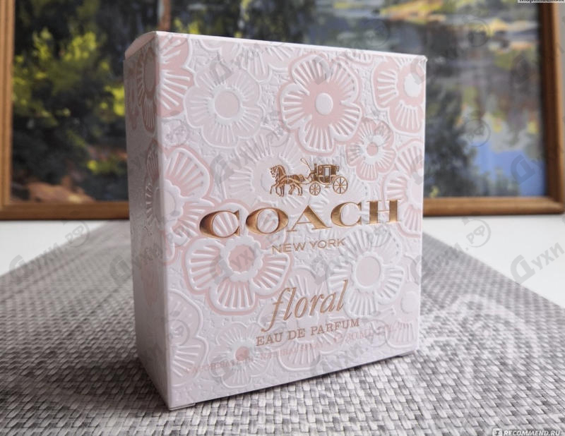 Купить Coach Floral