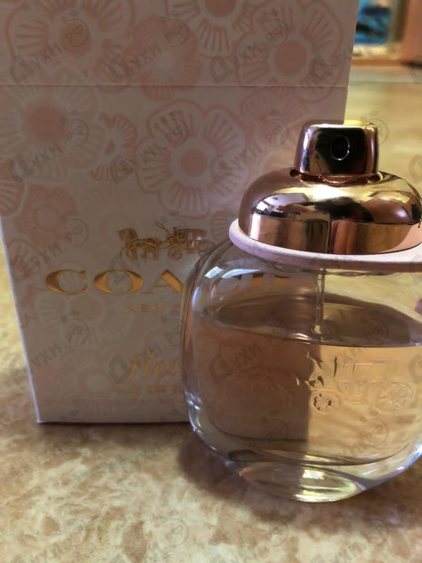 Купить Floral от Coach