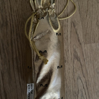 Отзывы Mancera Musky Garden