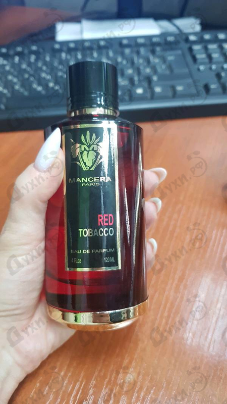 Купить Red Tobacco от Mancera