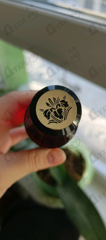 Купить Red Tobacco от Mancera