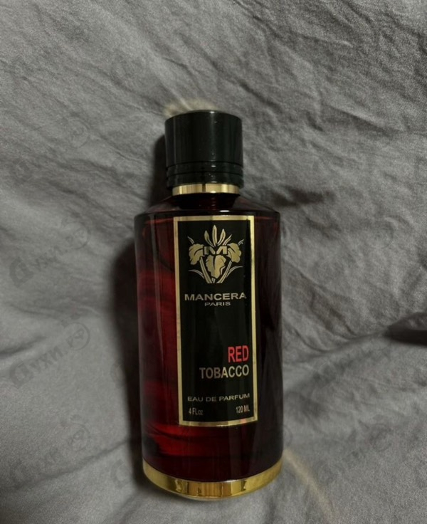 Купить Red Tobacco от Mancera