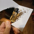 Отзывы Mancera Red Tobacco Духи Red Tobacco от Mancera