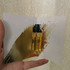 Купить Red Tobacco от Mancera