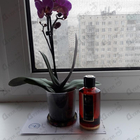 Духи Red Tobacco от Mancera