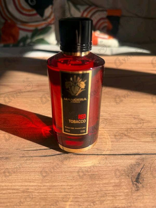 Купить Red Tobacco от Mancera