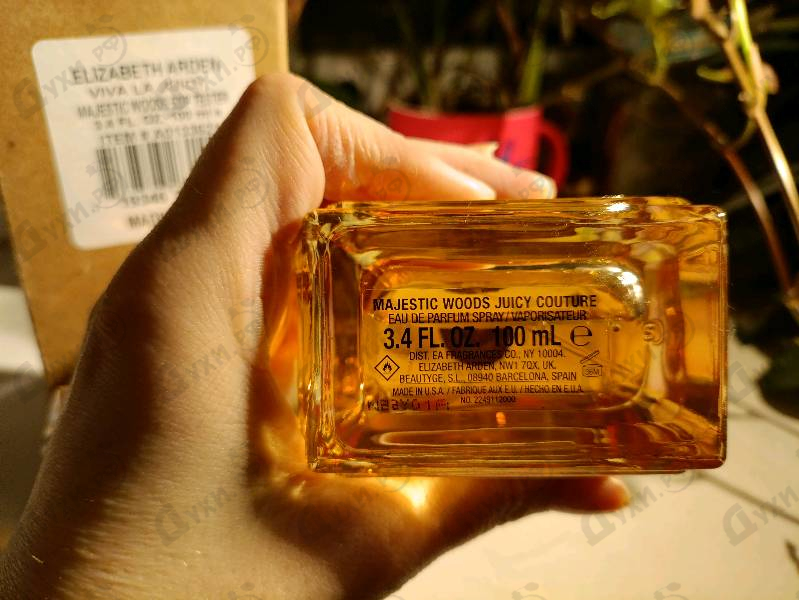Купить Juicy Couture Majestic Woods
