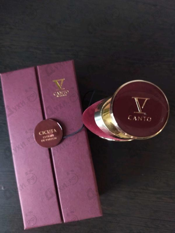 Купить V Canto Cicuta Духи Cicuta от V Canto