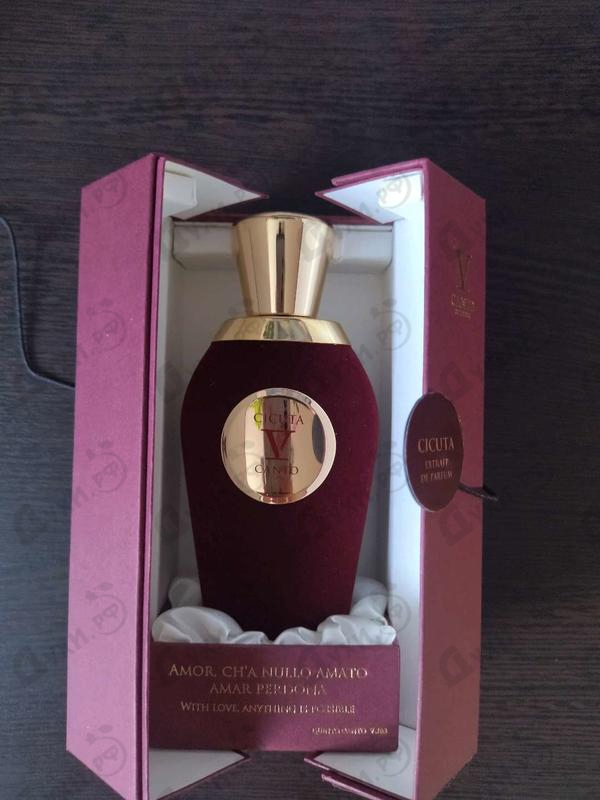 Купить V Canto Cicuta Духи Cicuta от V Canto