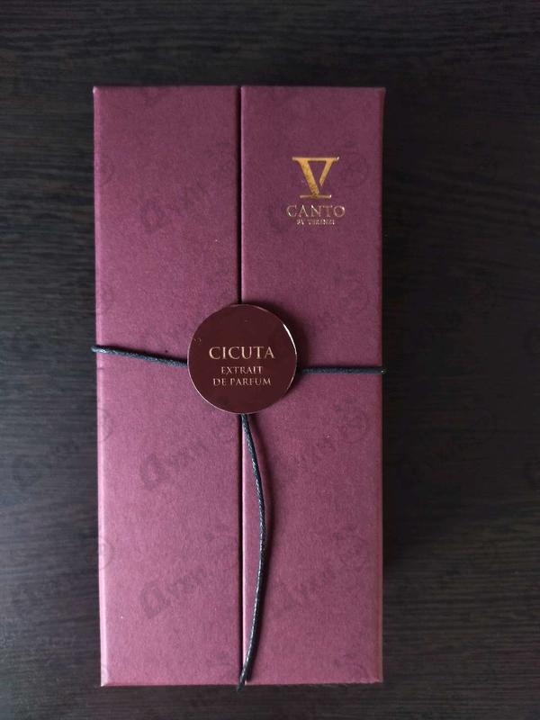 Парфюмерия Cicuta от V Canto Отзыв V Canto Cicuta