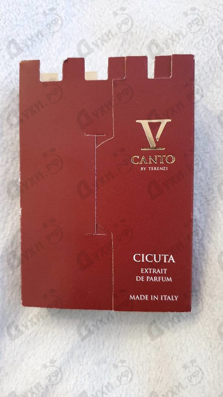 Купить V Canto Cicuta Купить Cicuta от V Canto