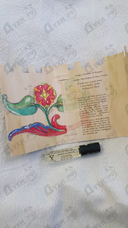 Парфюмерия Cicuta от V Canto Купить V Canto Cicuta