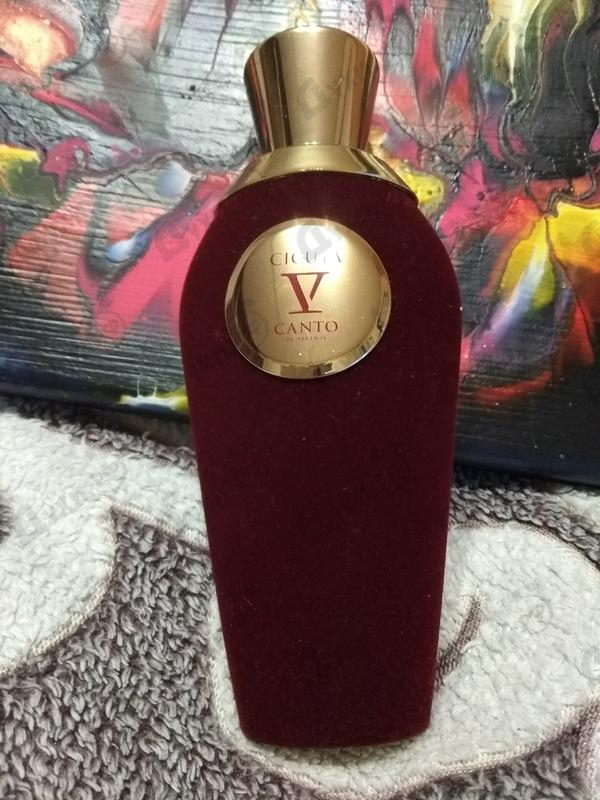 Купить Cicuta от V Canto Отзыв V Canto Cicuta