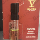 Отзывы V Canto Cicuta