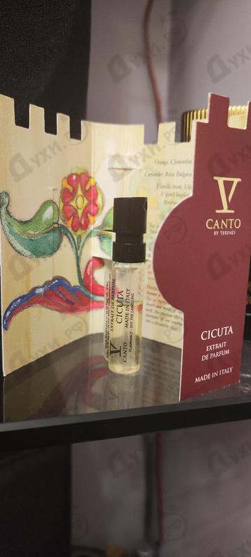 Отзывы V Canto Cicuta Купить Cicuta от V Canto