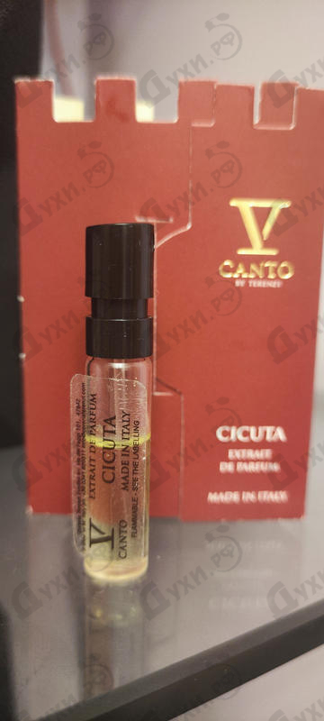 Купить Cicuta от V Canto