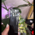 Купить LM Parfums Arsenic Osman