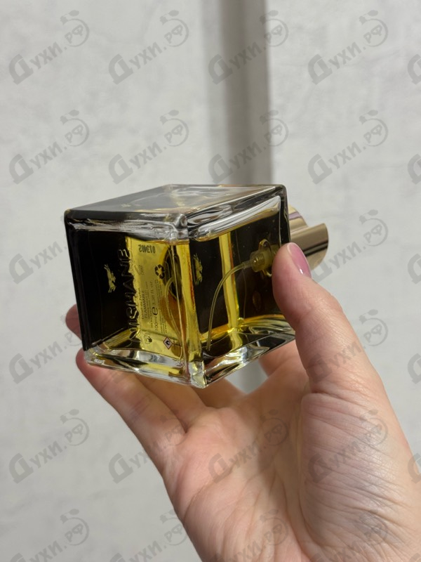 Купить Nishane Hundred Silent Ways