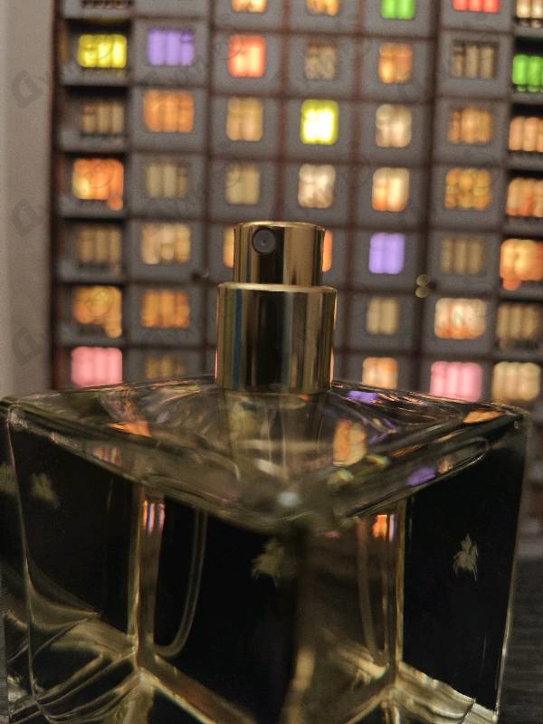 Парфюмерия Nishane Hundred Silent Ways