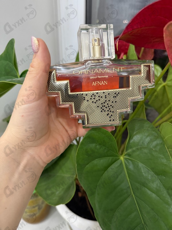 Купить Ornament от Afnan