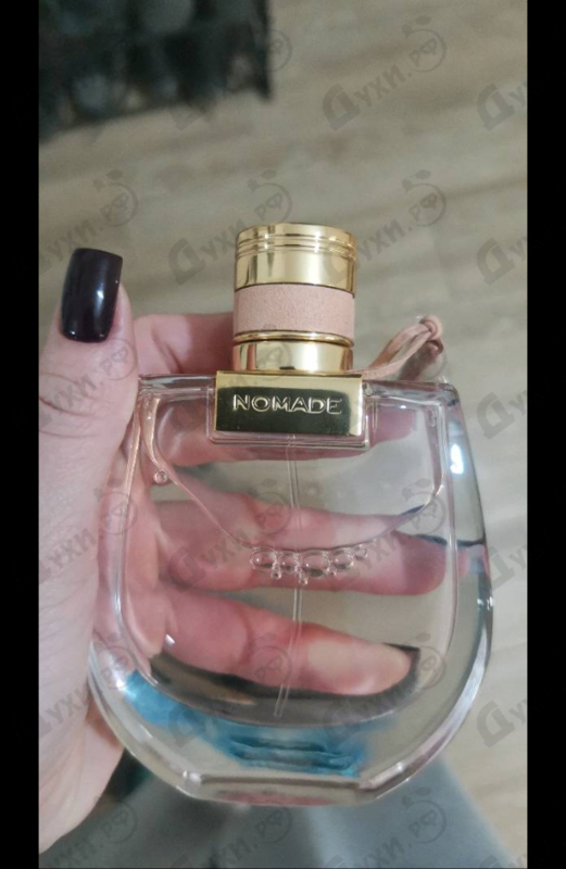 Купить Chloe Nomade