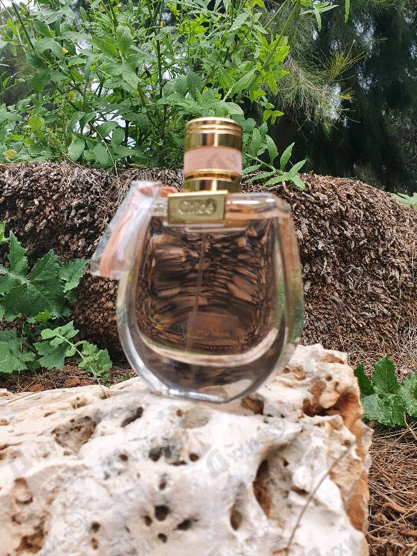 Отзывы Chloe Nomade