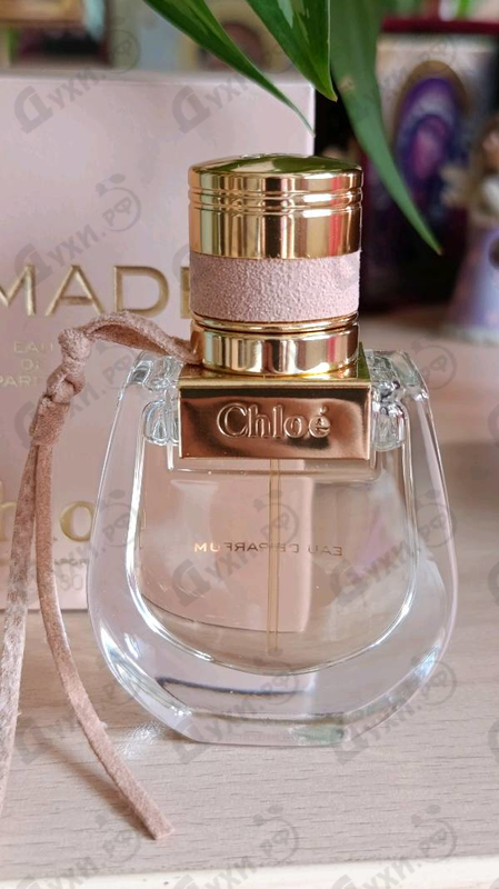 Купить Nomade от Chloe