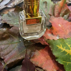 Парфюм Chloe Nomade