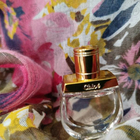 Отзывы Chloe Nomade