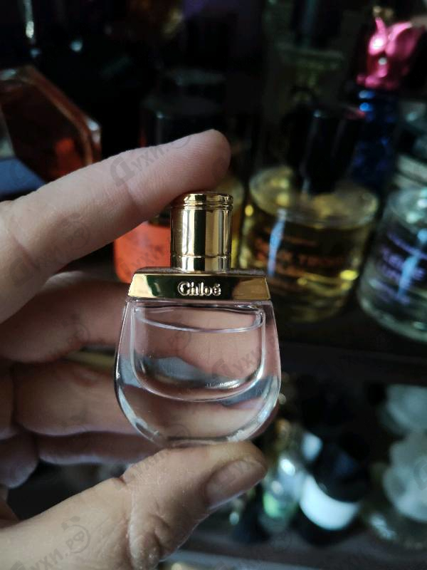 Купить Chloe Nomade