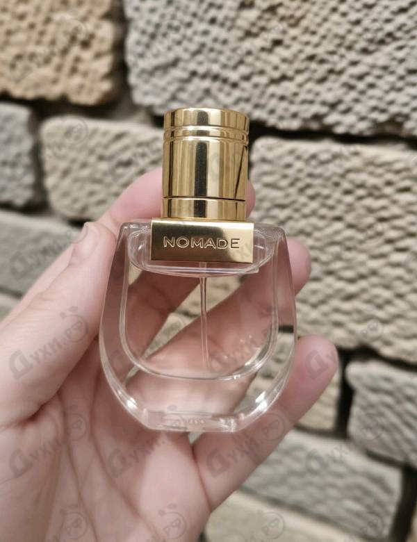 Купить Chloe Nomade
