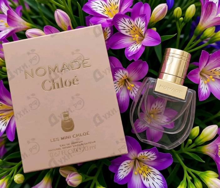 Отзывы Chloe Nomade