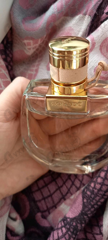 Купить Chloe Nomade